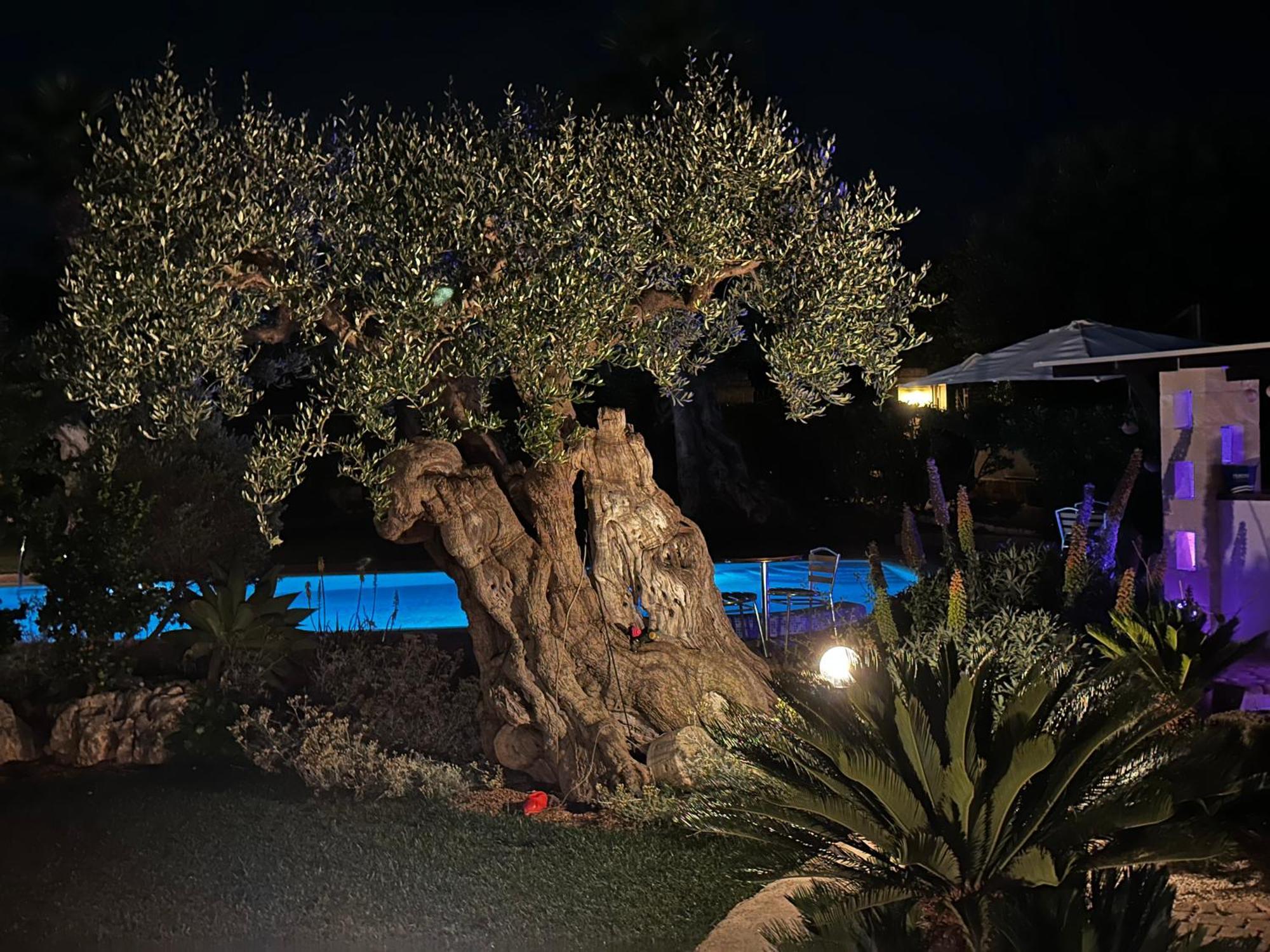 Alla Villa Di Angelo Monopoli Cameră foto